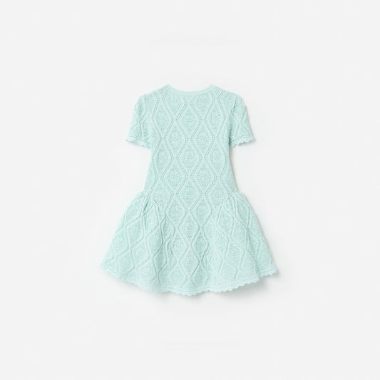 Mint Flower Embroidered Knit Dress