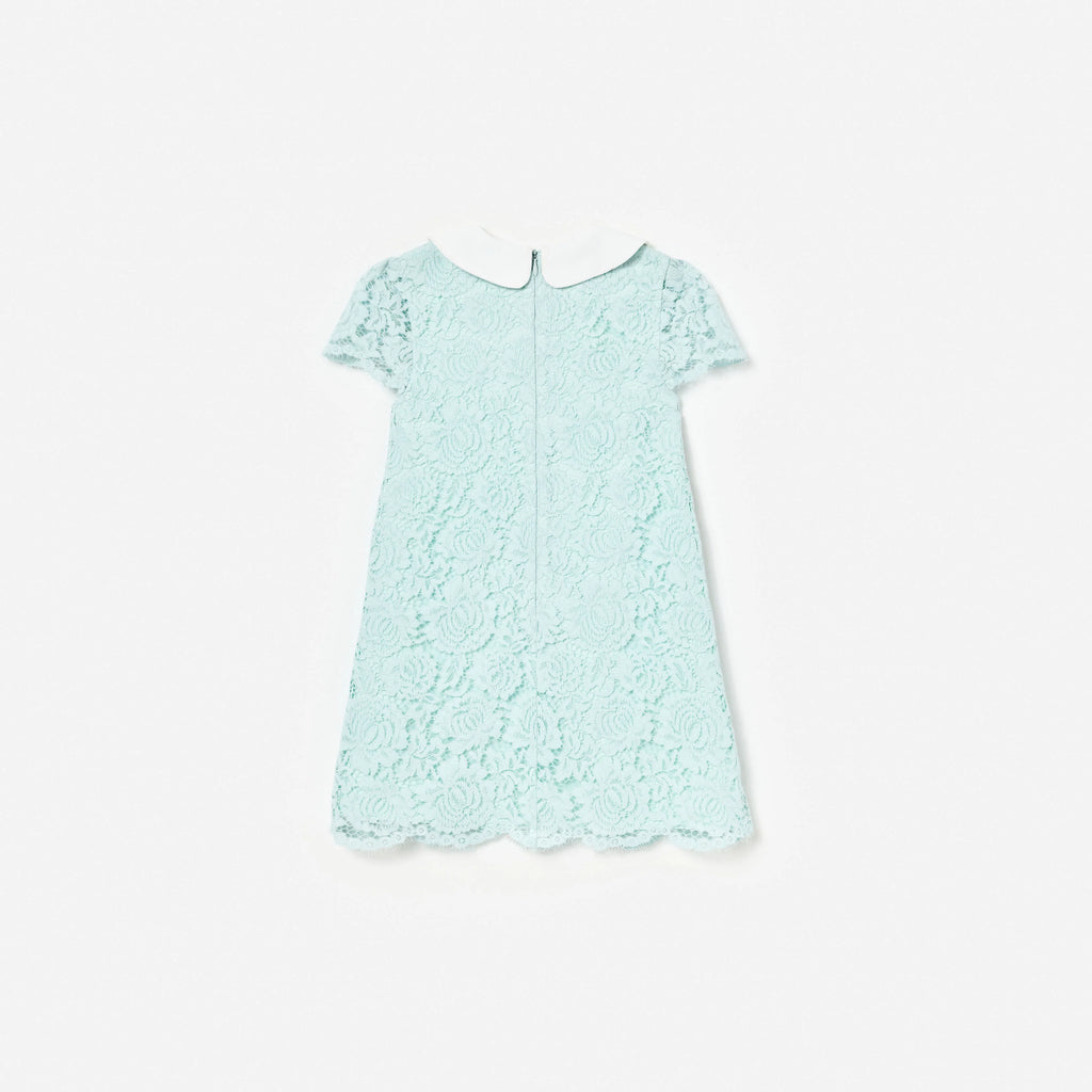 Mint Lace Collared Dress