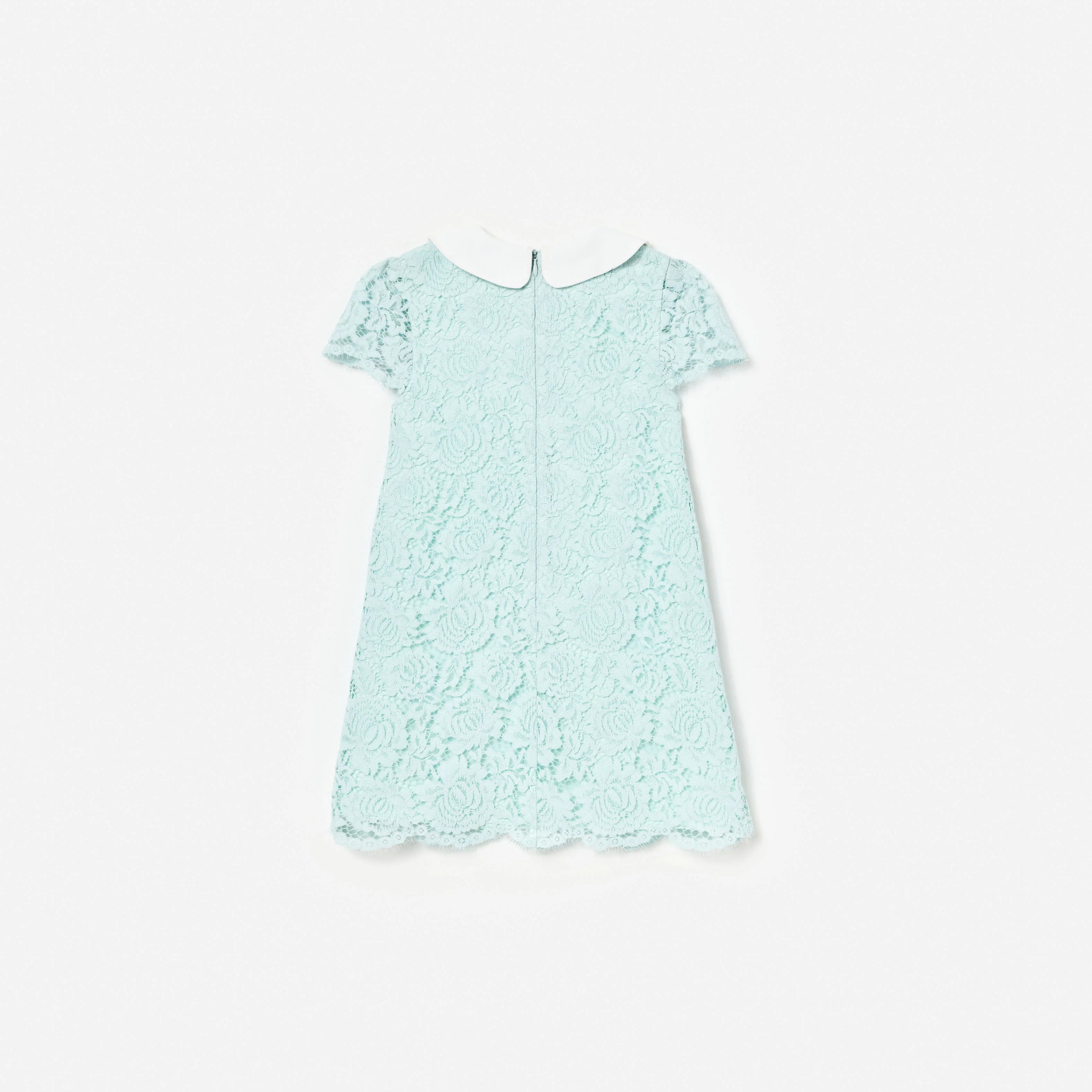 Mint Lace Collared Dress