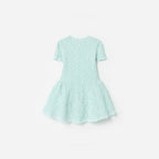 Mint Flower Embroidered Knit Dress