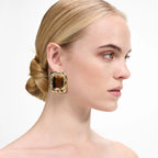 Mottled Gold Amber Earrings