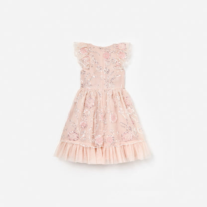 Pink Sequin Embellished Dress